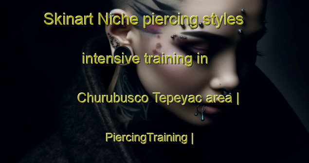 Skinart Niche piercing styles intensive training in Churubusco Tepeyac area | PiercingTraining | PiercingClasses | SkinartTraining-Mexico